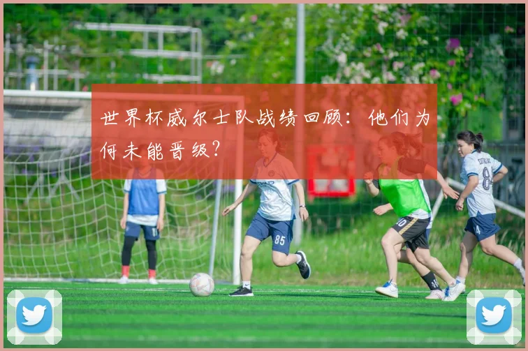 世界杯威尔士队战绩回顾：他们为何未能晋级？